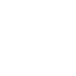 Flecha blanca