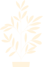 Planta