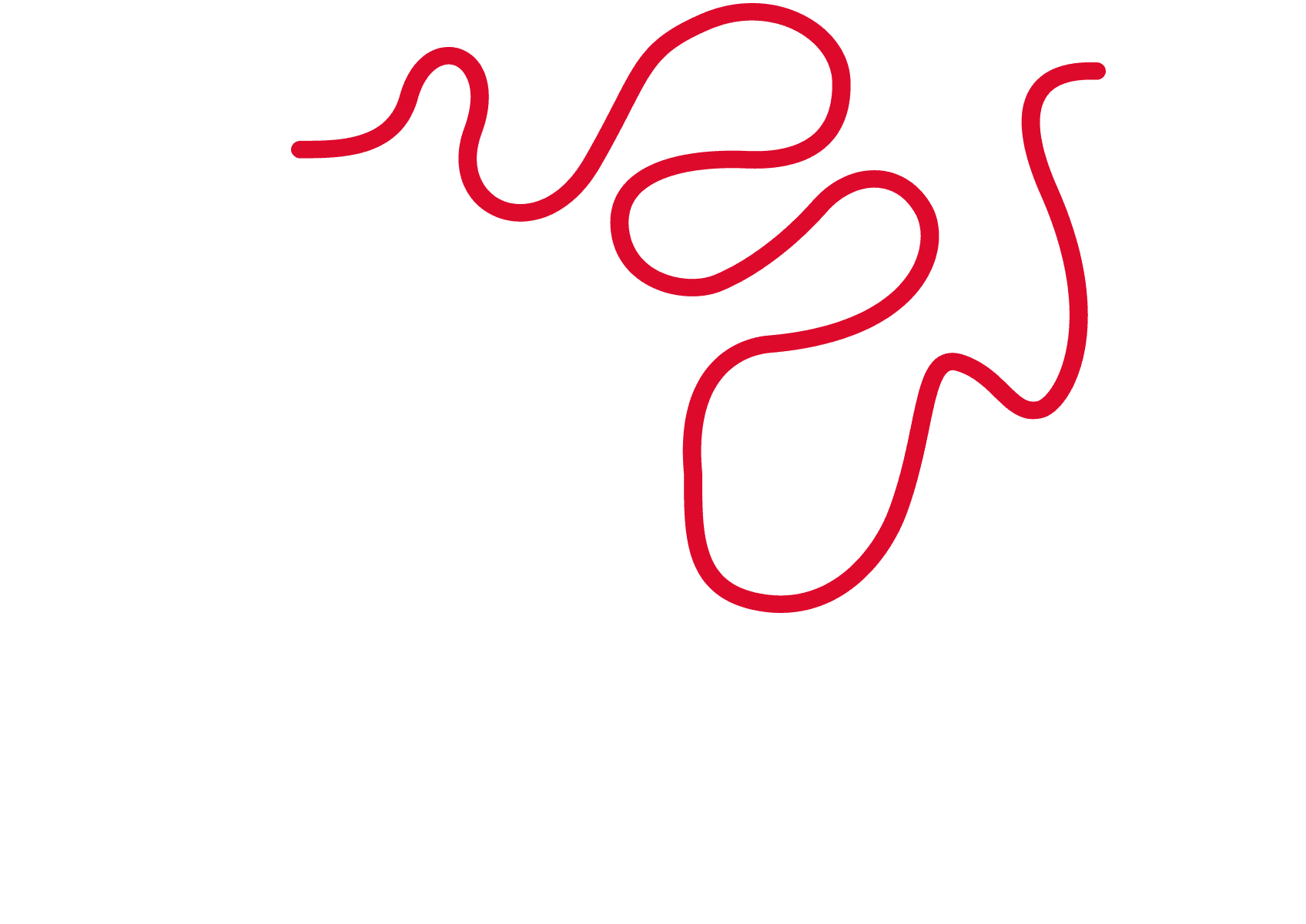 elmoRoad