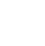 iconWhiteX