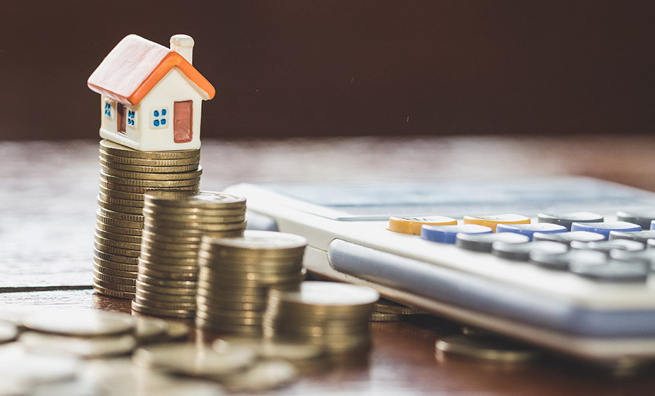 Conoce los tipos de patrimonio y sus beneficios