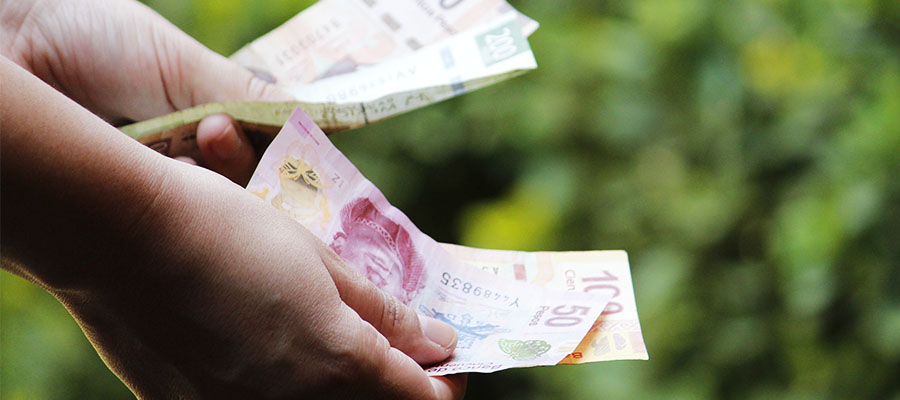 Conoce las características de la economía doméstica