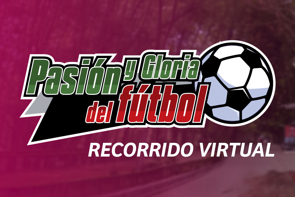 Pasión y Gloria del Fútbol