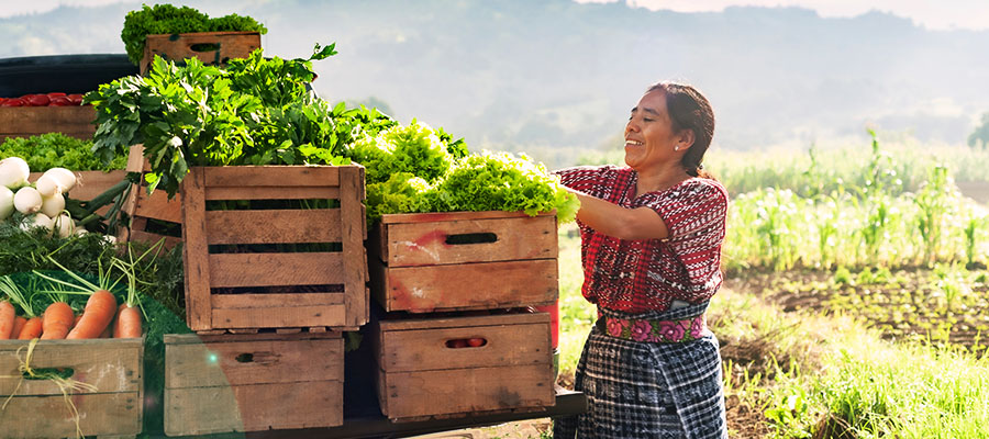 Estas son las cualidades de un buen emprendedor