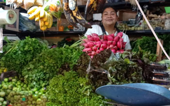 Descubre cómo con un préstamo personal Guadalupe Sanluis y más emprendedores han conseguido al negocio sus sueños